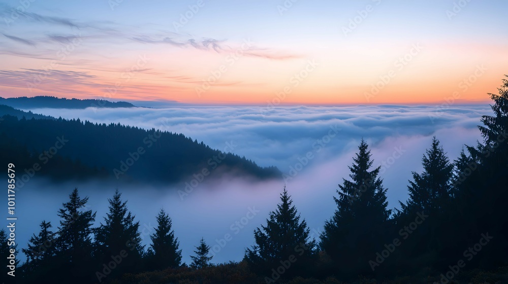 Rolling Fog Over Hills at Dawn Rolling Fog Over Hills at Dawn