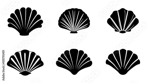Sea shell icon. Set of pearl shell icons. Vector illustration. Shell vector icons. Black seashell icons
