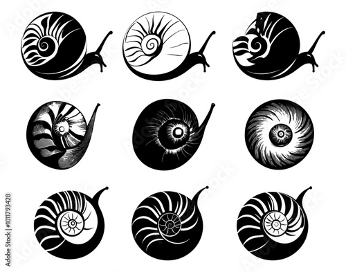 Grape snail logo. Isolated grape snail on white background
