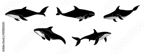 Set Whale Silhouette Vector Art Illustration for Ocean-themed Designs.

