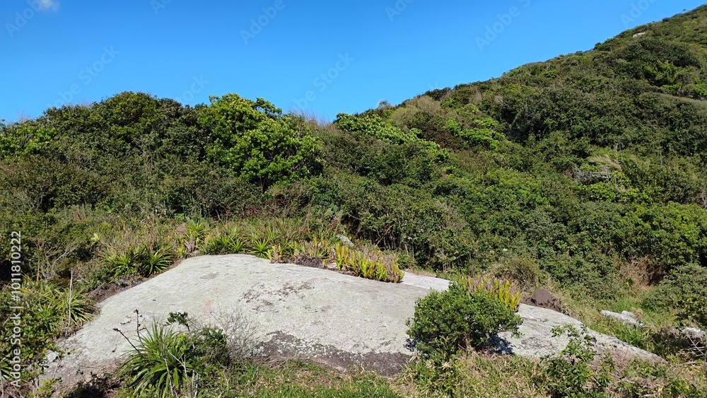 Obraz premium landscape with sky