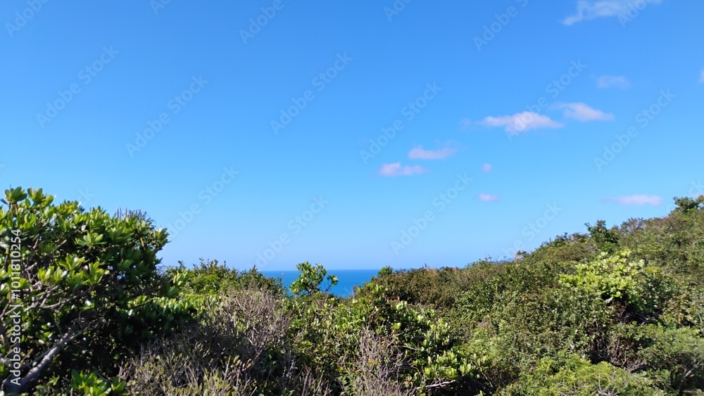 landscape with blue sky landscape with blue sky