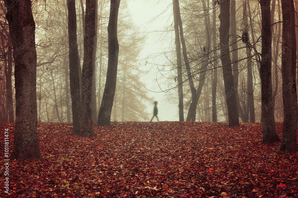 Fototapeta premium Halloween background with spooky atmosphere. Foggy autumn park with a ghost silhouette in dense fog walking between bare trees