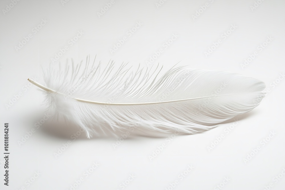 Obraz premium On a white backdrop, a white feather isolated. Generative Ai