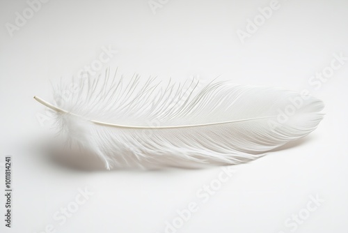 On a white backdrop, a white feather isolated. Generative Ai