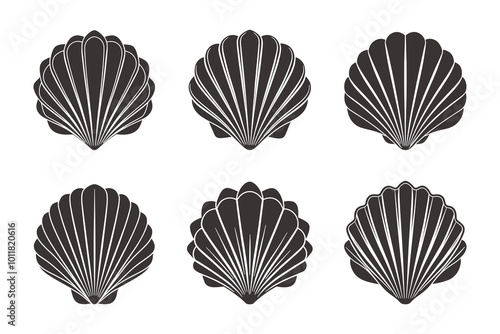 Set of scallop shell logo. Collection of isolated scallop silhouettes on white background. Illustration