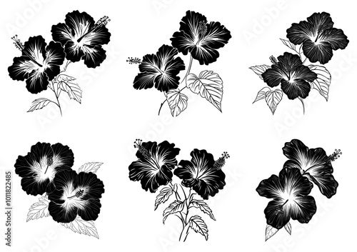 Vector hibiscus flowers. Black-and-white solution. Drawn manually.The design is suitable for use in decoration, tattoo, textiles, invitations and promotional projects.
