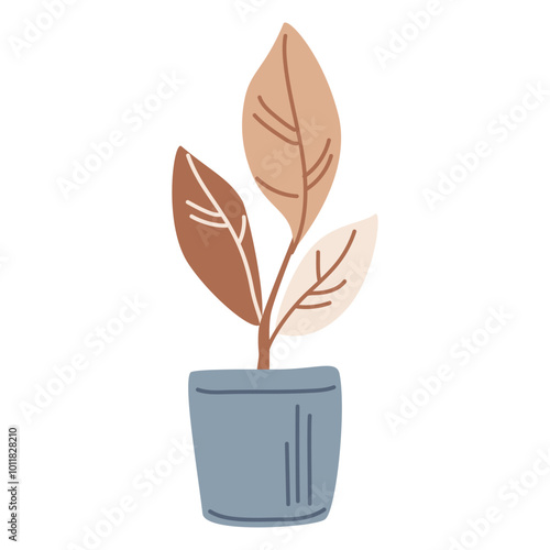 A homemade plant with large leaves in a pot. Vector illustration isolated on a white background for postcards, decor, print photo