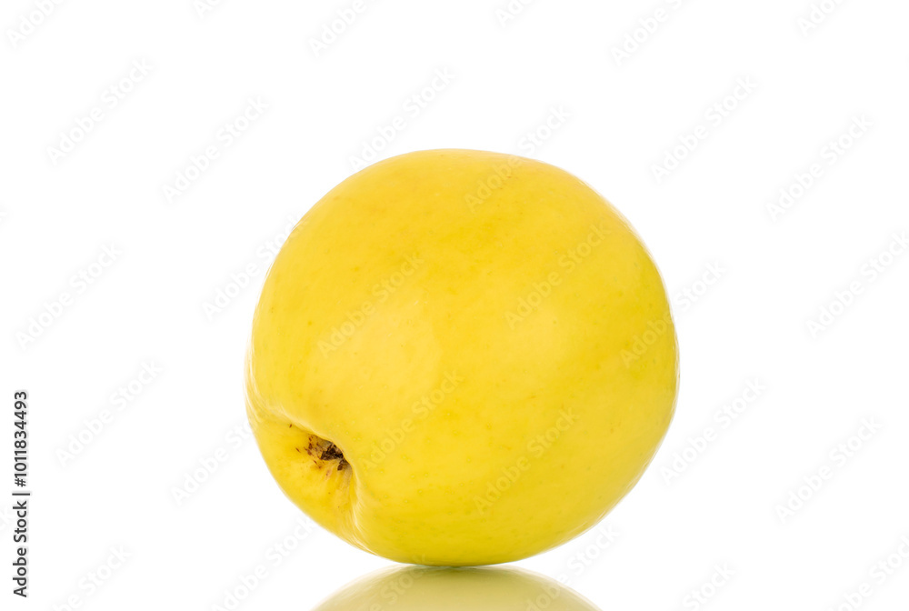 One bright yellow ripe apple, macro, isolated on white background. One bright yellow ripe apple, macro, isolated on white background.