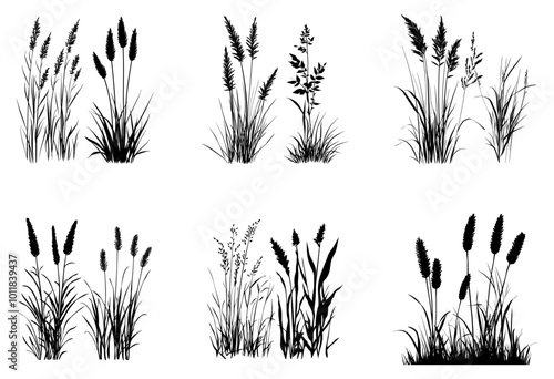 Grass silhouette set in white background
