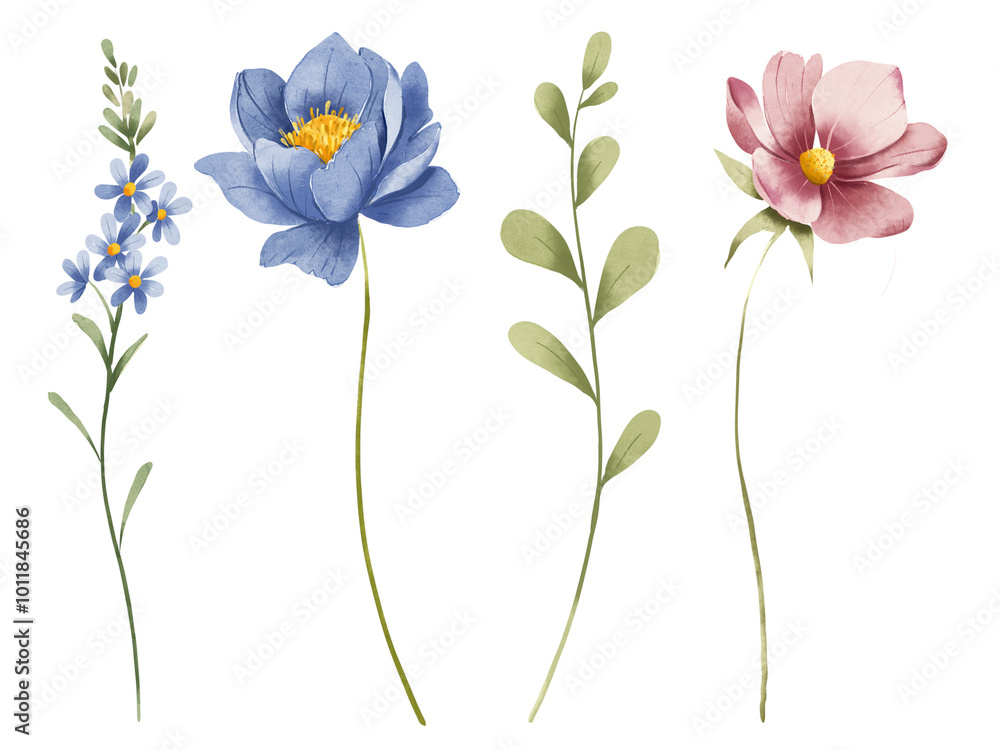 Naklejka premium Floral set, flowers&nbsp;and&nbsp;leaves, watercolor digital illustration for greeting card, poster, invitation and other printing design. Isolated on white. Hand drawn.