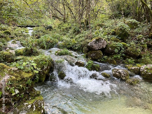 The Lepenjica stream in the area of ​​Šunik's water grove or the Lepenca stream in the alpine valley of Lepena (Bovec, Slovenia) - Der Bach Lepenjica im Bereich des Wasserhains von Šunik (Slowenien) photo