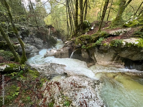 The Lepenjica stream in the area of ​​Šunik's water grove or the Lepenca stream in the alpine valley of Lepena (Bovec, Slovenia) - Der Bach Lepenjica im Bereich des Wasserhains von Šunik (Slowenien) photo