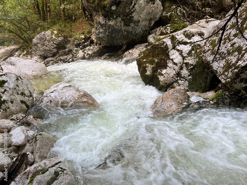 The Lepenjica stream in the area of ​​Šunik's water grove or the Lepenca stream in the alpine valley of Lepena (Bovec, Slovenia) - Der Bach Lepenjica im Bereich des Wasserhains von Šunik (Slowenien) photo