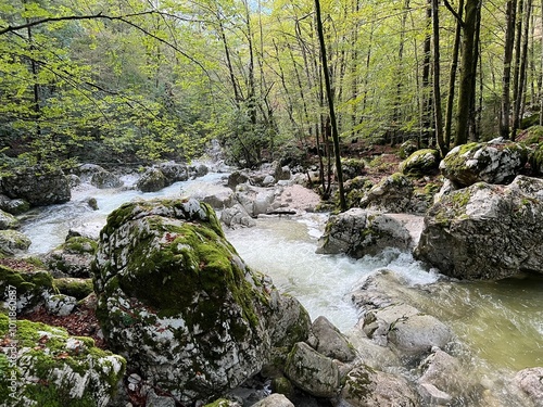 The Lepenjica stream in the area of ​​Šunik's water grove or the Lepenca stream in the alpine valley of Lepena (Bovec, Slovenia) - Der Bach Lepenjica im Bereich des Wasserhains von Šunik (Slowenien) photo