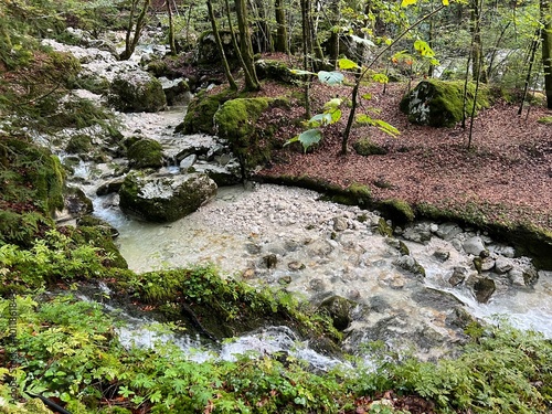 The Lepenjica stream in the area of ​​Šunik's water grove or the Lepenca stream in the alpine valley of Lepena (Bovec, Slovenia) - Der Bach Lepenjica im Bereich des Wasserhains von Šunik (Slowenien) photo