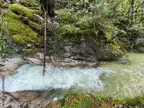 The Lepenjica stream in the area of ​​Šunik's water grove or the Lepenca stream in the alpine valley of Lepena (Bovec, Slovenia) - Der Bach Lepenjica im Bereich des Wasserhains von Šunik (Slowenien) photo