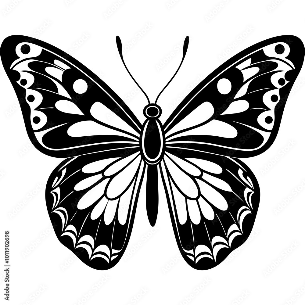 butterfly illustration butterfly illustration