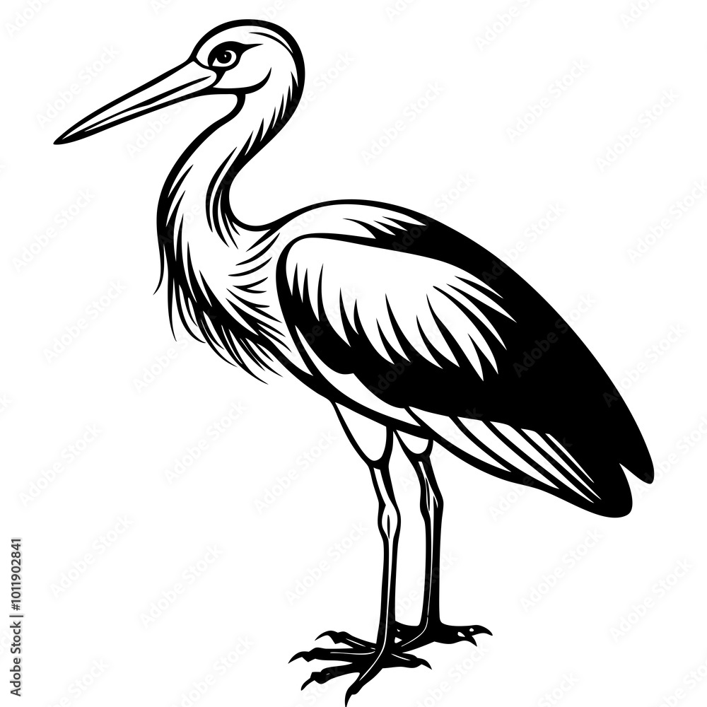 Obraz premium white stork ciconia