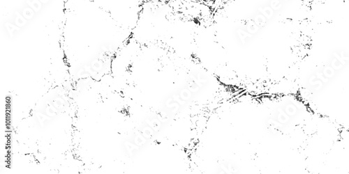 Abstract earth cracks texture on isolate vector background. Black and white old dirty texture. white and black cracks Transparent texture with vector marble pattern background.