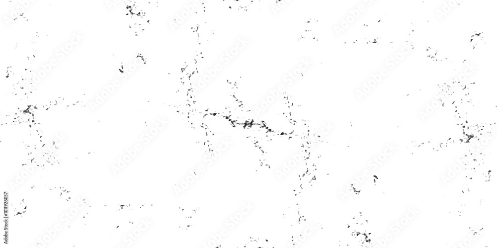 Obraz premium Abstract earth cracks texture on isolate vector background. Black and white old dirty texture. white and black cracks Transparent texture with vector marble pattern background.