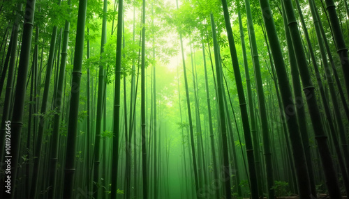 Bamboo grove tranquil atmosphere vibrant green nature landscape copy space