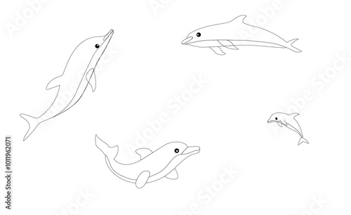 Dolphin in 4 different sizes and styles