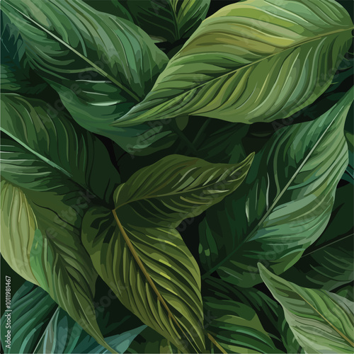 leaves of Spathiphyllum cannifolium, abstract green texture