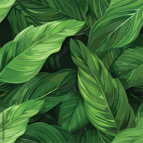 leaves of Spathiphyllum cannifolium, abstract green texture