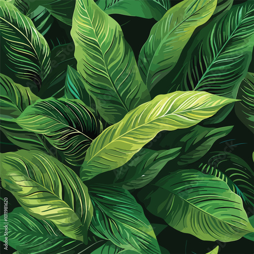 leaves of Spathiphyllum cannifolium, abstract green texture
