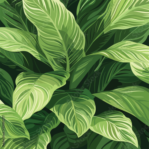 leaves of Spathiphyllum cannifolium, abstract green texture