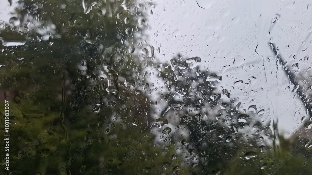 The rainy weather through the window The rainy weather through the window