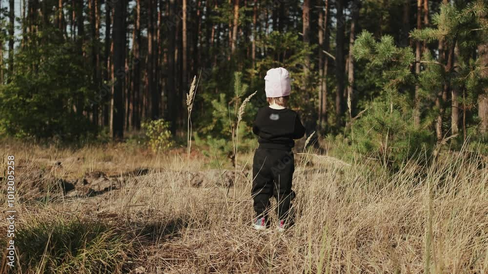 A Child Exploring Nature and Its Wonders in a Beautiful Forest Setting Full of Life A Child Exploring Nature and Its Wonders in a Beautiful Forest Setting Full of Life