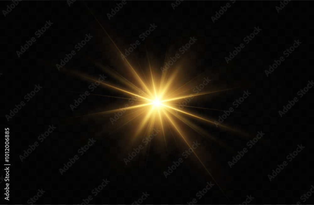 Fototapeta premium Golden particles of light. Golden light. Light flare.Stars isolated on transparent background. 