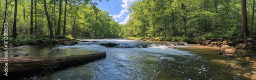 Scenic River Flowing Through a Forest with Beautiful Natural Surroundings