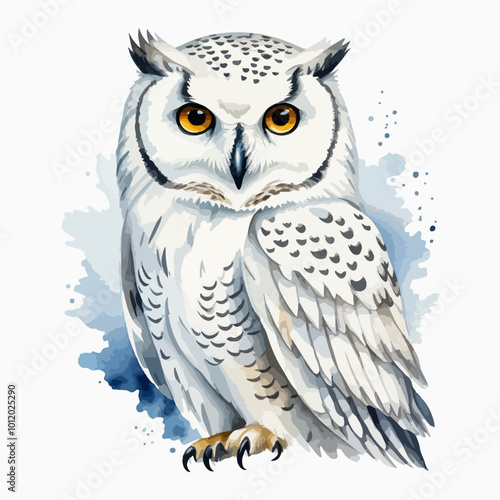 Hand drawn watercolor painting of white polar owl isolated on white background. Arctic animal illustration drawing by hand.