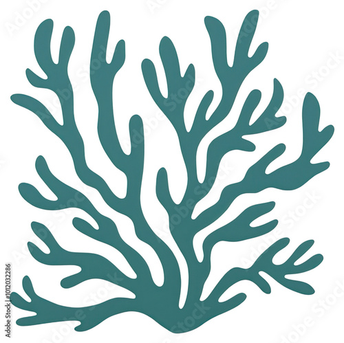 PNG Sea weed pattern nature underwater.