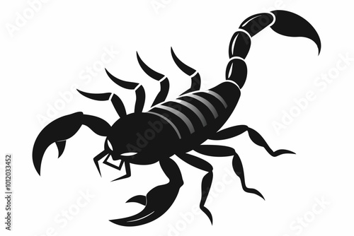 Scorpion Silhouette Vector illustration on white background.