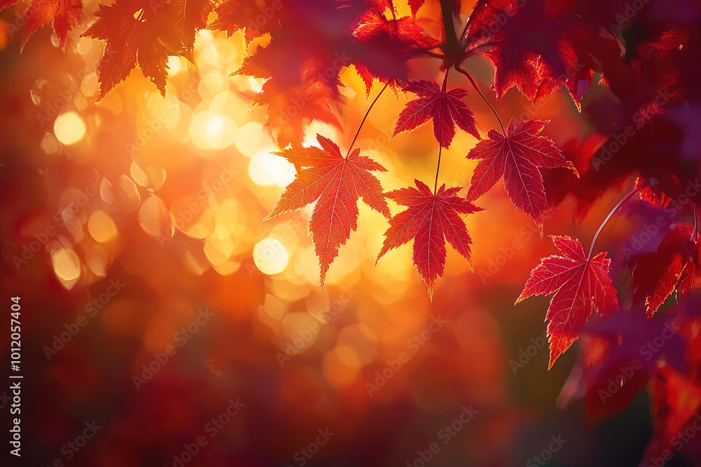Red autumn leaves background with beautiful warm sunlight bokeh effect Red autumn leaves background with beautiful warm sunlight bokeh effect