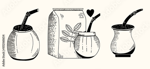 Yerba mate herbal vector illustration. Paraguayan tea hand draw sketch. Calabash with bombilla collection.