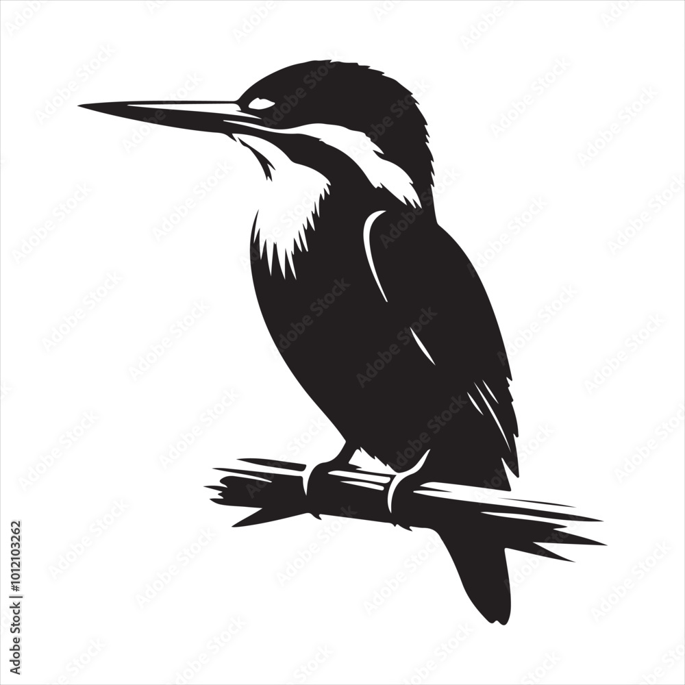 Fototapeta premium silhouette of a bird