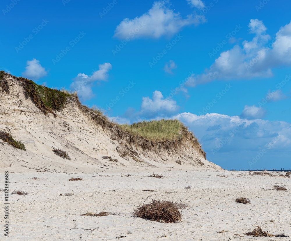 Dune and cliff on the North Sea beach on Sylt