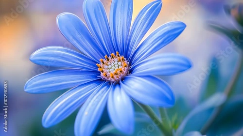 Vibrant blue daisy flower in soft focus, nature beauty and tranquility concept photo