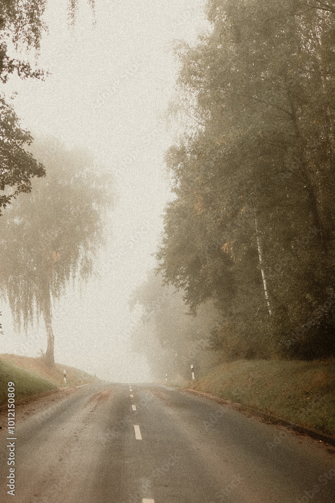 Morning road in fog among autumn trees Morning road in fog among autumn trees