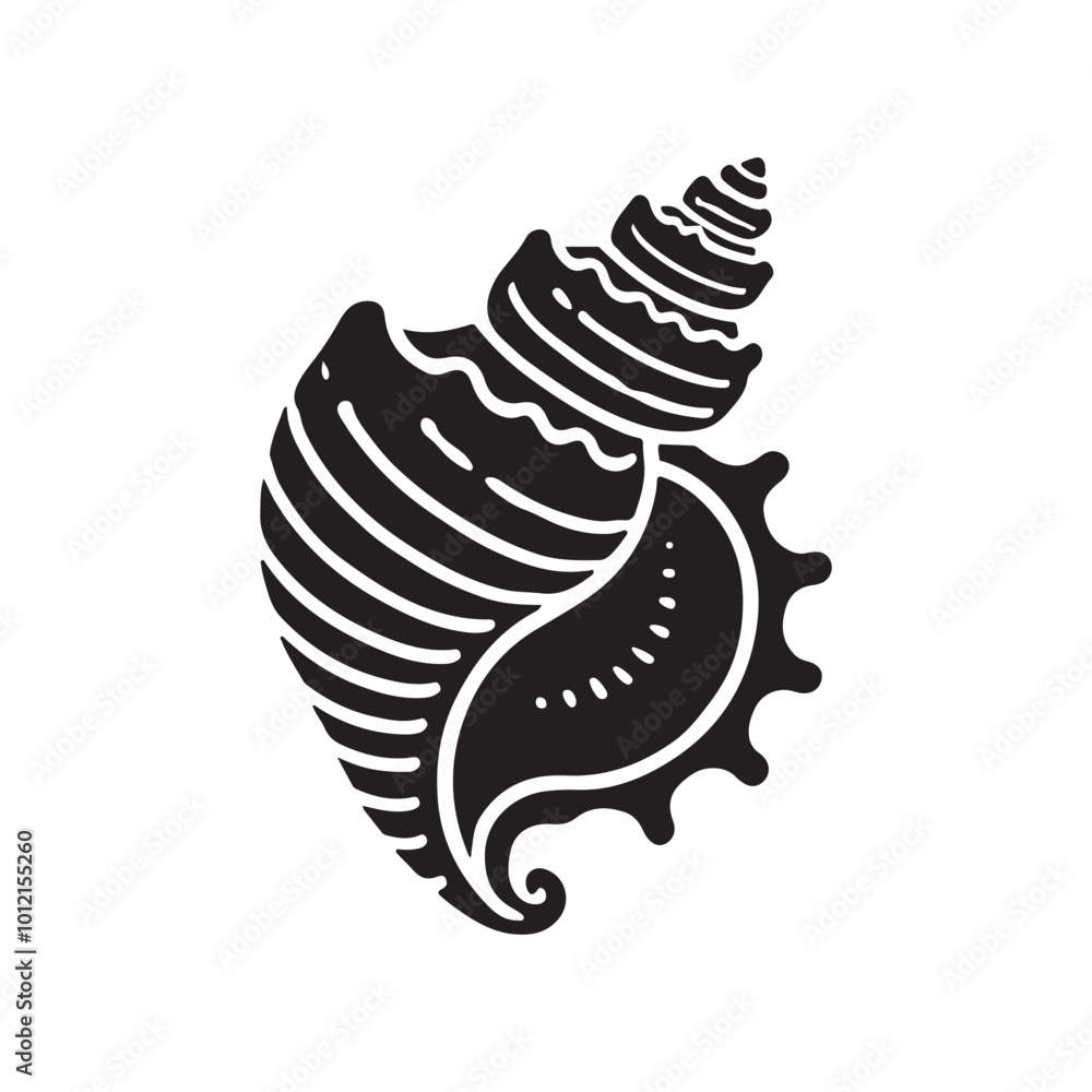 Obraz premium Detailed Seashell Design vector