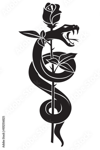 black snake with rose isolated on white background