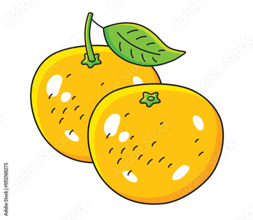 Two fresh orange fruits isolated vector illustration