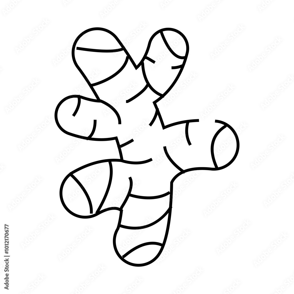 ginger root line icon vector. ginger root sign. isolated symbol illustration ginger root line icon vector. ginger root sign. isolated symbol illustration