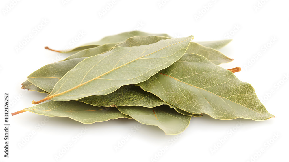 Whole Bay Leaves | Fresh and Aromatic Herb for Flavorful Cooking and Seasoning Whole Bay Leaves | Fresh and Aromatic Herb for Flavorful Cooking and Seasoning
