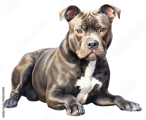 PNG A dog american pitbull bulldog mammal animal.